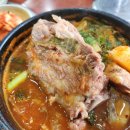 제주본토박이 | 제주 해장하기 좋은 감자탕 &#34;제주본토박이&#34;