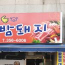 불타는밤돼지