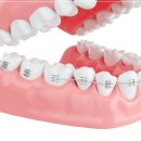 가지런이치과교정과치과의원 이미지