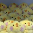 뚱이하우스 | 순천 몰랑하우스 프리오픈 후기｜몰랑이 전시·포토존 가득한 순천 데이트 코스