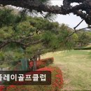 파플레이골프클럽 이미지