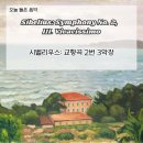 시벨리우스 교향곡 2번 3악장 해설 - 긴 낮처럼 확장되는 에너지