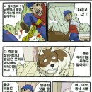 프란다스의 개 이미지