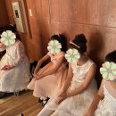 토마토 아카데미 정기연주회 이미지