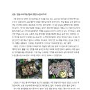 서서