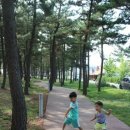 낙산씨사이드 이미지