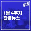 [컷더트래쉬 뉴스] 25년 1월 4주차 목요일 환경뉴스-케이블카