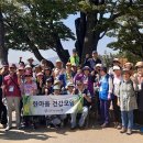 사단법인 한국당뇨협회 이미지