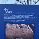 국보 제147호 [울주 천전리 명문과 암각화] &amp; 천전리 공룡 발자국 이미지