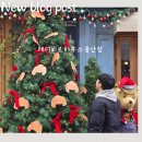 용산-289 | 용리단길 카페 추천 크루아상 맛집 테디뵈르하우스용산점 내 돈 내산 후기