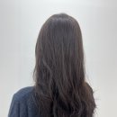 나영농장 | 행신역미용실 나영 디자이너 전체염색 후기 에이바헤어