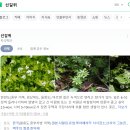 [내돈내산] 하리보 신상 유령젤리(wackelgeister) 솔직후기