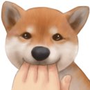 백두동물병원 이미지