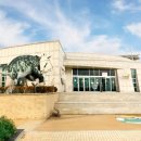 해남공룡박물관 이미지