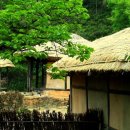 고향에봄 이미지