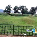 중산동 고분군 이미지