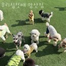 우리집첫째 양산점 네이버블로그