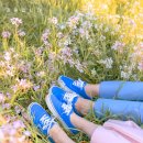 (주)버킷스튜디오 노동조합 | [제주 웨딩스냅] 하연필름을 추천하는 이유 (feat. 라라랜드)