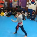 경희대 드림태권도 이미지