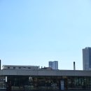 지관서가(울산시립미술관점)