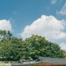 온라인_궁궐인문학 이미지