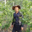 산막골 농장 이미지