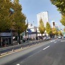 신마산 공인중개사사무소 네이버블로그