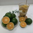 그린농원 이미지