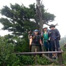 이박삼일 이미지