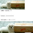 비타광고