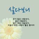 07월15일(월) 신문을 통해 알게된 이야기들 이미지