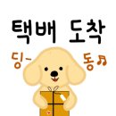 폴리덴탈 네이버블로그