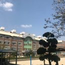 대전만년초등학교 이미지