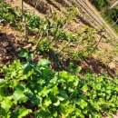 화순베스트요양병원 이미지