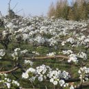 혁준농장 이미지