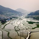 안개2길 이미지