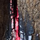 야로면사무소 이미지