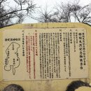 원다이버스