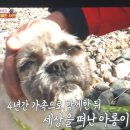 아롱이네 농장 이미지