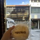 솜사랑 | [목포뚜벅이여행] &lt;코롬방제과점&gt; 내돈내산 후기(목화솜빵,찹쌀카스테라)