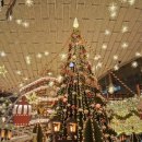 중동작은도서관 | 스케일 미친 코엑스 별마당 도서관 크리스마스트리 직관후기