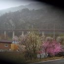 삼탄잔디구장 이미지