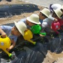 식품안전체험관 이미지