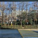 솔, 소머리국밥 이미지