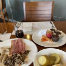 청송사슴농장 | [평창 대관령 여행] day3 평창 주주파크 동물농장, 아이와 가볼만한곳 최고