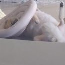 이형윤동물병원 이미지