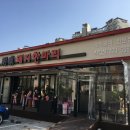 돼지한마리 이미지