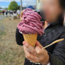 너구리대피소 | 호주 여행, 태즈매니아 *4일차* / 빠니보틀도 못가본 코스! / 오리너구리 눈 앞에서 본 후기!