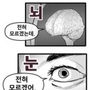 강현중학교 네이버블로그