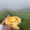 풍요의 아침 이미지